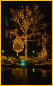 Christmas Lights