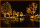 Christmas Lights