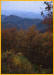 Fall in the Blue Ridge Mountains