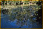 Reflections