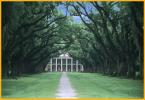 Oak Alley Plantation