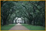 Rosedown Plantation