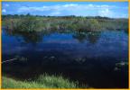 Everglades