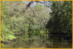 Chassahowitza River