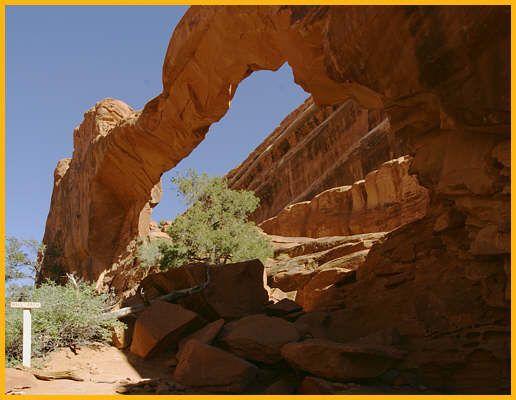 Wall Arch