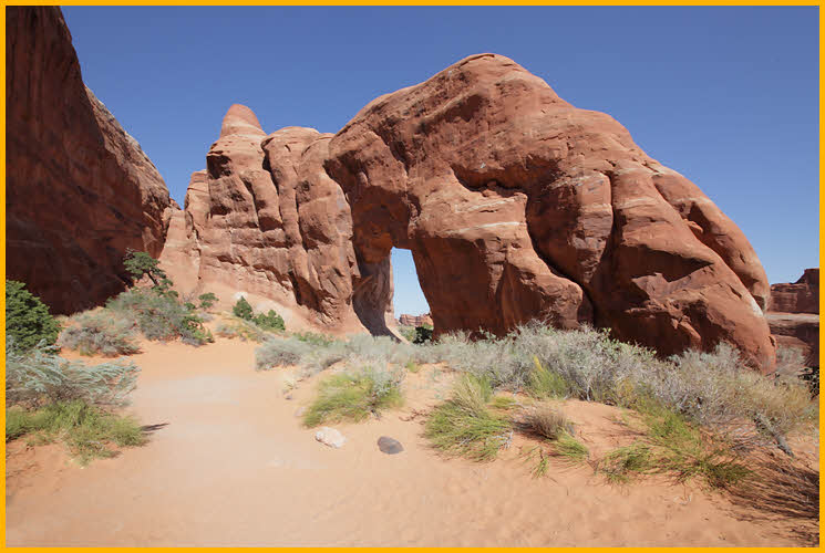 Pine Tree Arch
