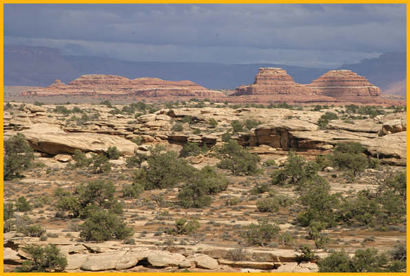 Slickrock Trail View