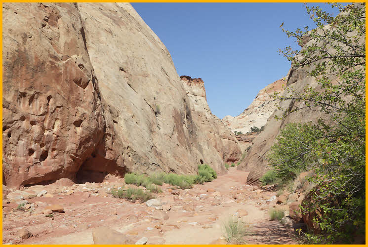 Capitol Gorge