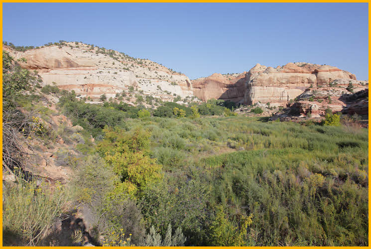 Lower Calf Creek Falls Trail