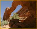 Wall Arch