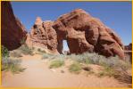 Pine Tree Arch
