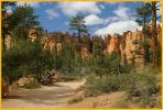 Navajo Trail