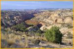The Hogback