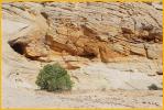 Sculptured Rock