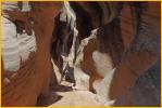 Willis Creek Gorge