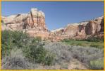 Lower Calf Creek Falls Trail