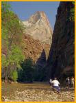 The Narrows