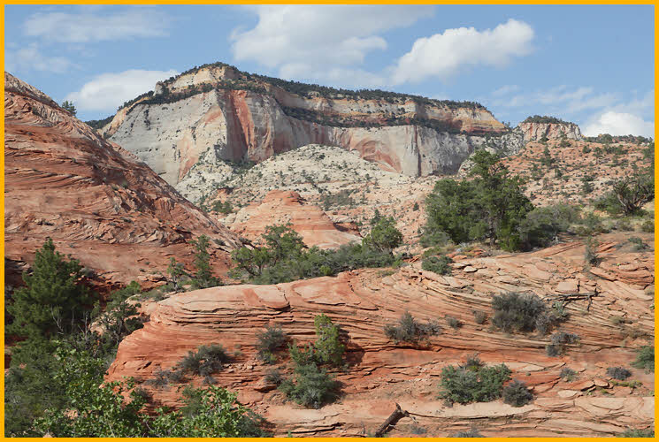 Mesa