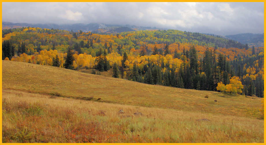 Wolf Creek Valley