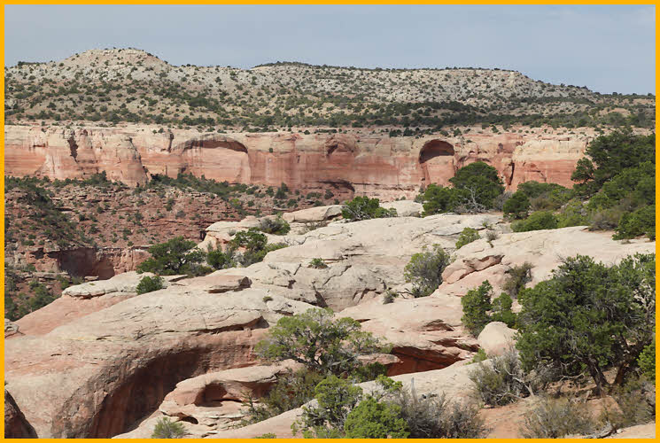 Rattlesnake Canyon