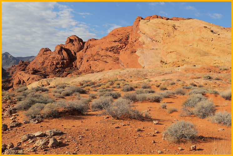 Bicolor Rock