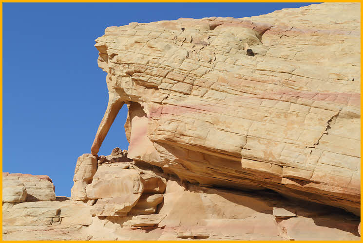 Bird Beak Arch