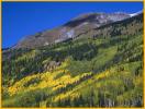 Aspen Gold