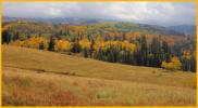 Wolf Creek Valley