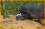 Cumbres and Toltec Train
