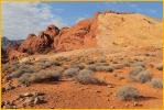 Bicolor Rock