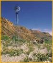 Wind Mill