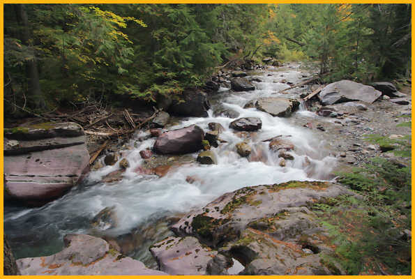 Avalanche Creek