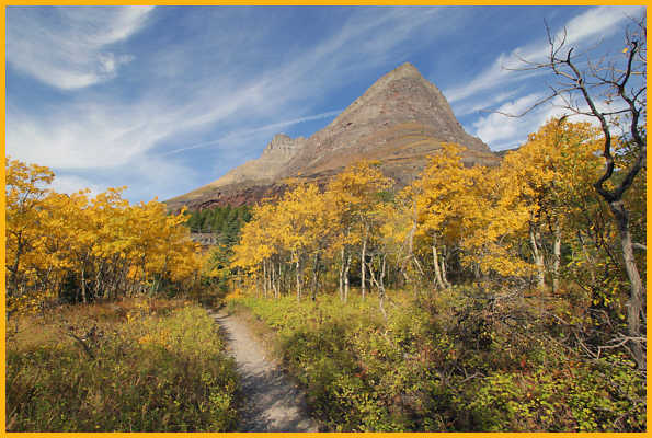 Swiftcurrent Trail