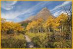 Swiftcurrent Trail