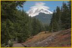 Mt Rainier