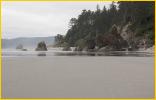 Sea Stacks