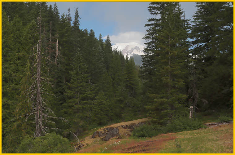 First View of Mt Rainier