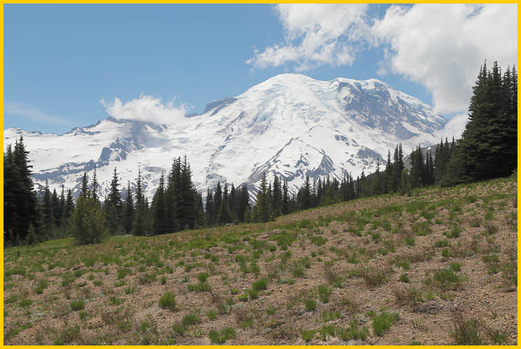 Mt Rainier