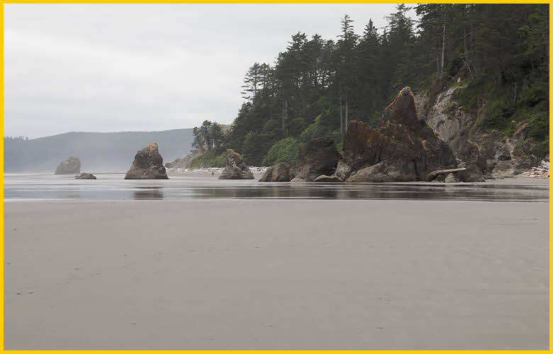Sea Stacks