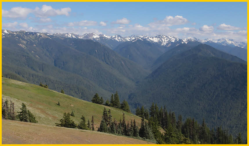Olympic Mountains