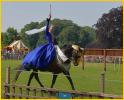 The Maid of the Joust