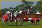 The Joust