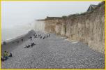 Birling Gap White Cliffs
