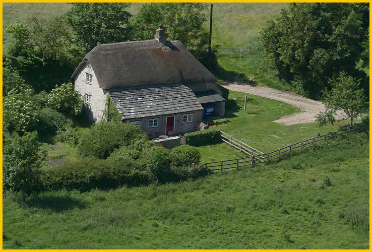 Thatched Roof House