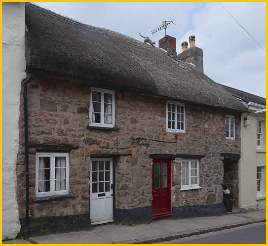 Straw Cat on Thatched Roof House