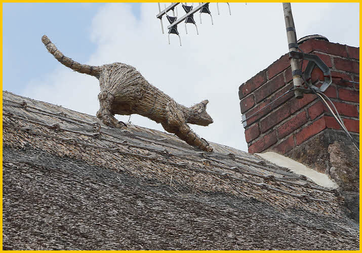 The Straw Cat
