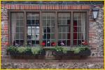 Window Box