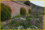 St Michaels Mount Garden