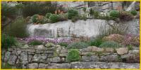 St Michaels Mount Garden