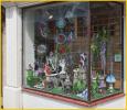 Store Window